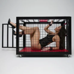 BDSM Cage