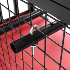BDSM Cage