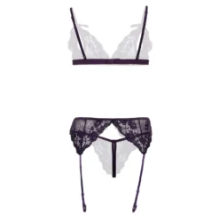 Christine - Axelle Ensemble 3p - Entrejambe & Cups Violet