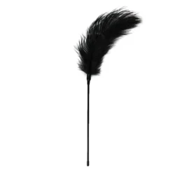Easytoys Fetish - Fouet à plumes noir