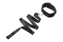 Ensemble laisse et collier Frisky