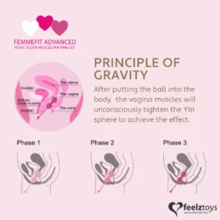 FeelzToys – FemmeFit Kit d’Entraînement Kegel – 3 Pièces