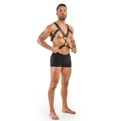 Harnais de bondage Rocco - Noir