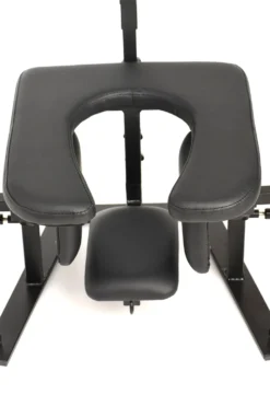 Master Series - Pleasure Throne Oral Sex Chair