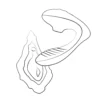 ROMP by Womanizer - Reverb Double Plaisir 2 en 1