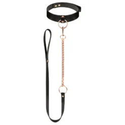 Rosy Gold - Collier avec laisse détachable - Noir