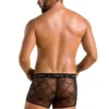 Short James - Noir