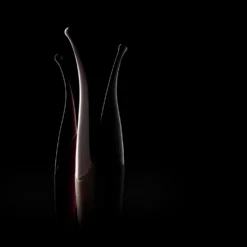 Vibrateur Senzi - Noir
