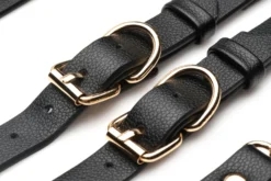 XR Brands - Harnais de Cuisse Tentatrice - Noir